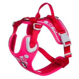 Hurtta Dog Harness: Weekend Warrior, Ruby