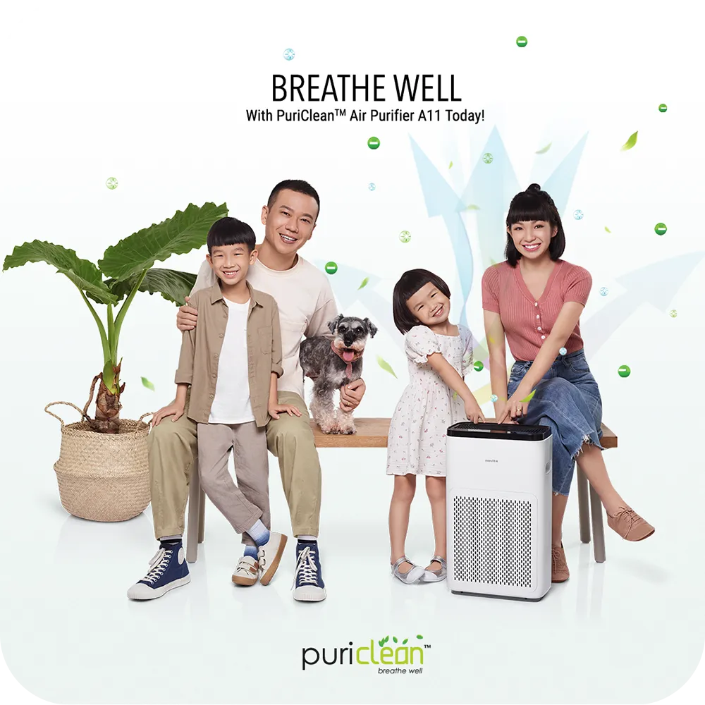 ID - Bundle Deal: Air Purifier A11 with Extra Filter