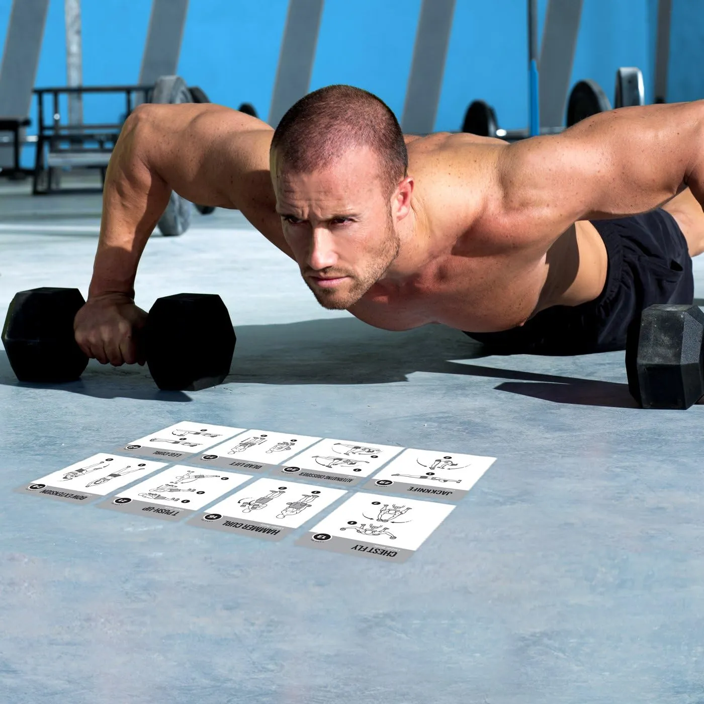 NewMe Fitness Dumbbell Workout Cards, Instructional Fitness Deck for Women & Men, Beginner Fitness Guide to Training Exercises at Home or Gym (Dumbbell, Vol 1)