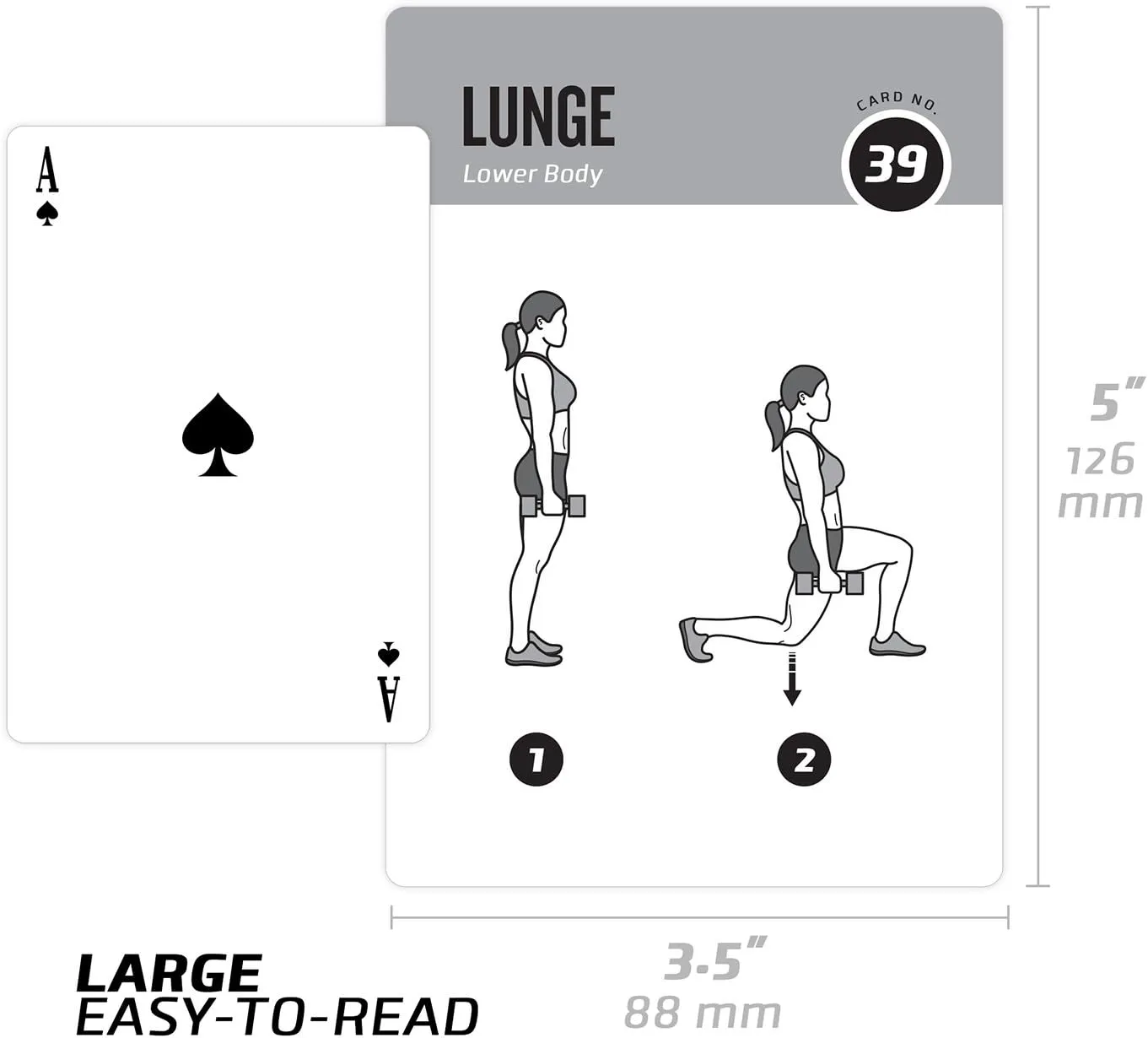 NewMe Fitness Dumbbell Workout Cards, Instructional Fitness Deck for Women & Men, Beginner Fitness Guide to Training Exercises at Home or Gym (Dumbbell, Vol 1)