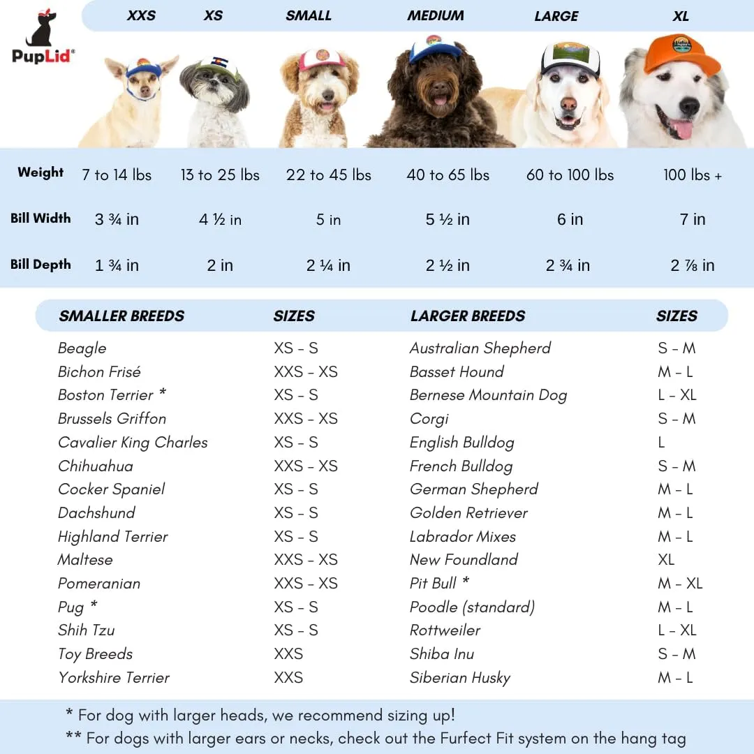 Sunset Collection, PupLid Trucker Hats for Dogs (Small) Premium Stylish Sun Protection for The Modern Dog - Adjustable for Secure Comfortable Fit on Active Dogs (Blue, All-Terrain)