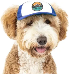 Sunset Collection, PupLid Trucker Hats for Dogs (Small) Premium Stylish Sun Protection for The Modern Dog - Adjustable for Secure Comfortable Fit on Active Dogs (Blue, All-Terrain)