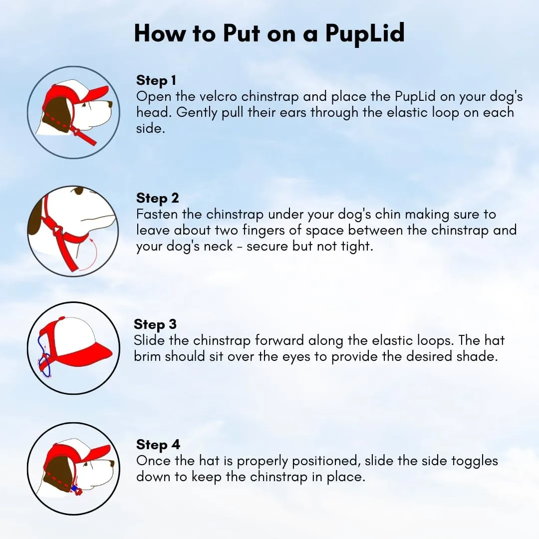 Sunset Collection, PupLid Trucker Hats for Dogs (Small) Premium Stylish Sun Protection for The Modern Dog - Adjustable for Secure Comfortable Fit on Active Dogs (Blue, All-Terrain)