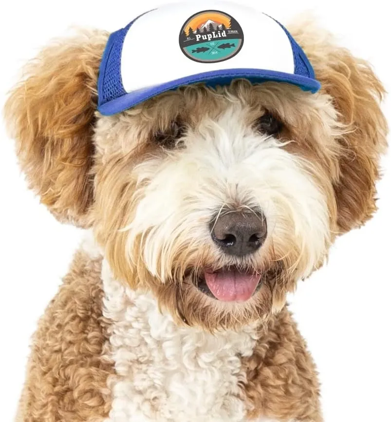 Sunset Collection, PupLid Trucker Hats for Dogs (Small) Premium Stylish Sun Protection for The Modern Dog - Adjustable for Secure Comfortable Fit on Active Dogs (Blue, All-Terrain)