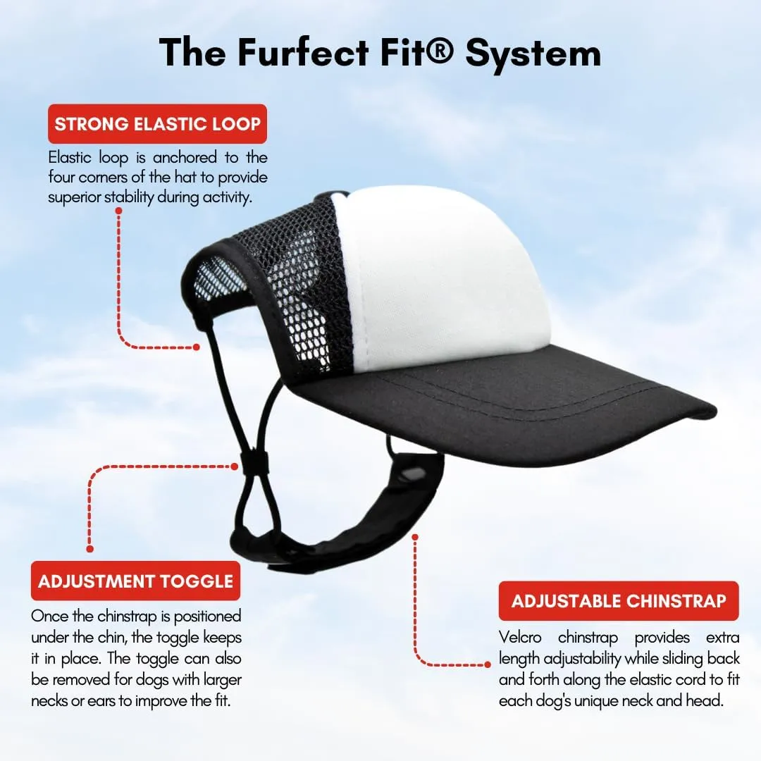 Sunset Collection, PupLid Trucker Hats for Dogs (Small) Premium Stylish Sun Protection for The Modern Dog - Adjustable for Secure Comfortable Fit on Active Dogs (Blue, All-Terrain)