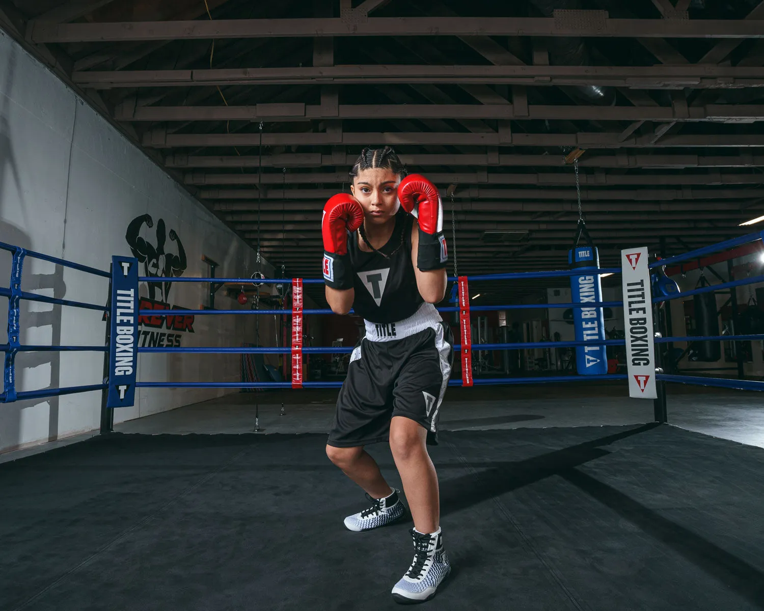 TITLE Boxing Performance Aerovent Amateur Boxing Set 3.0